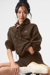 Accolade Hoodie – Espresso