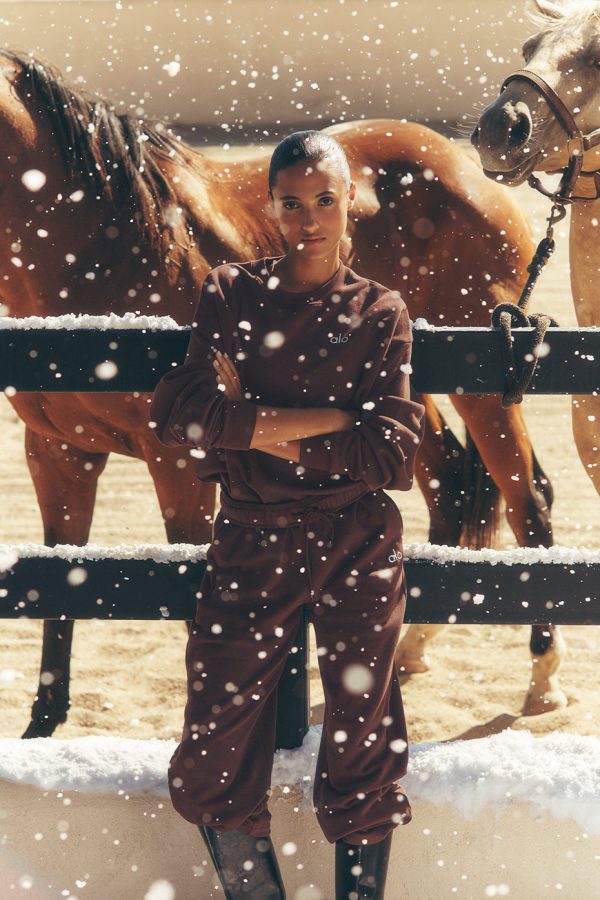 Accolade Straight Leg Sweatpant ?C Brownstone